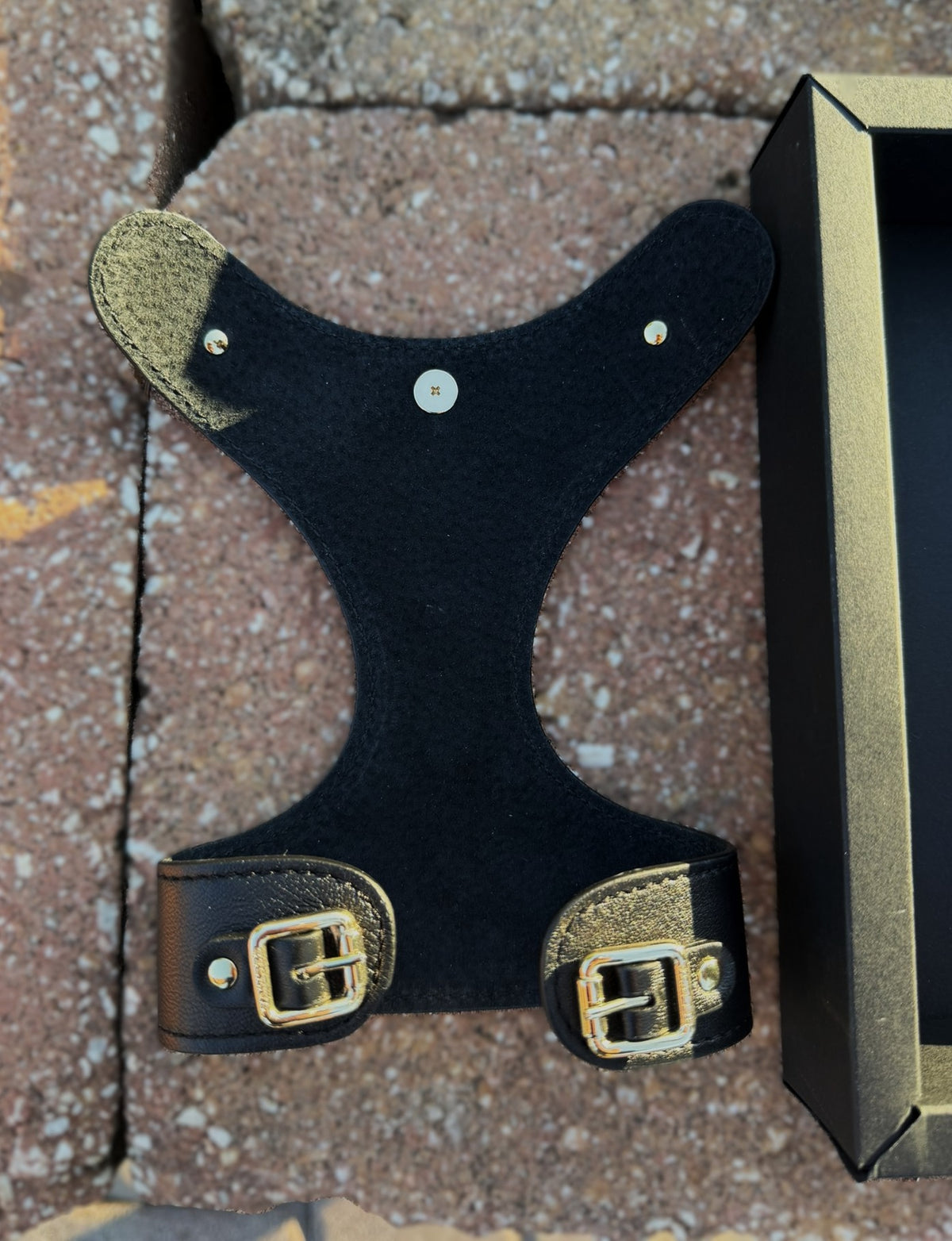 Inside view of the black leather harness lining