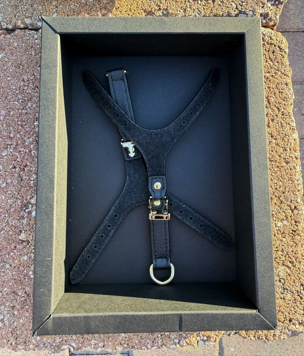 Black leather harness laid out with its mounting parts