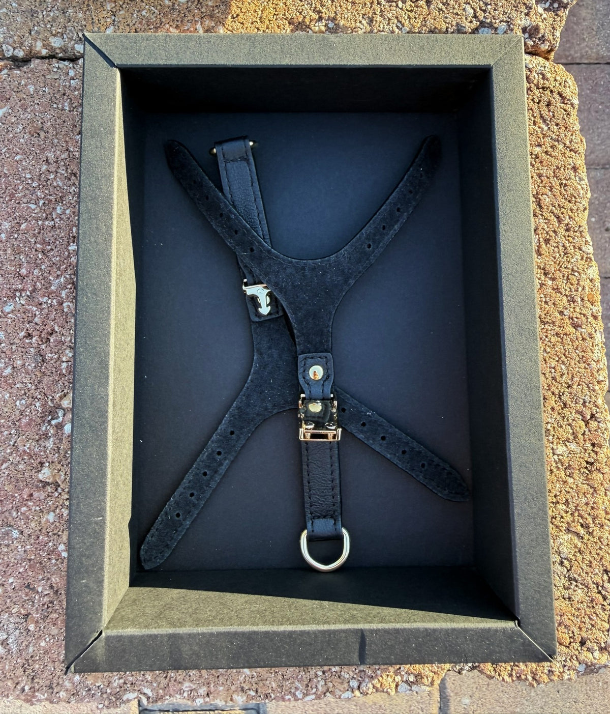 Black leather harness laid out with its mounting parts
