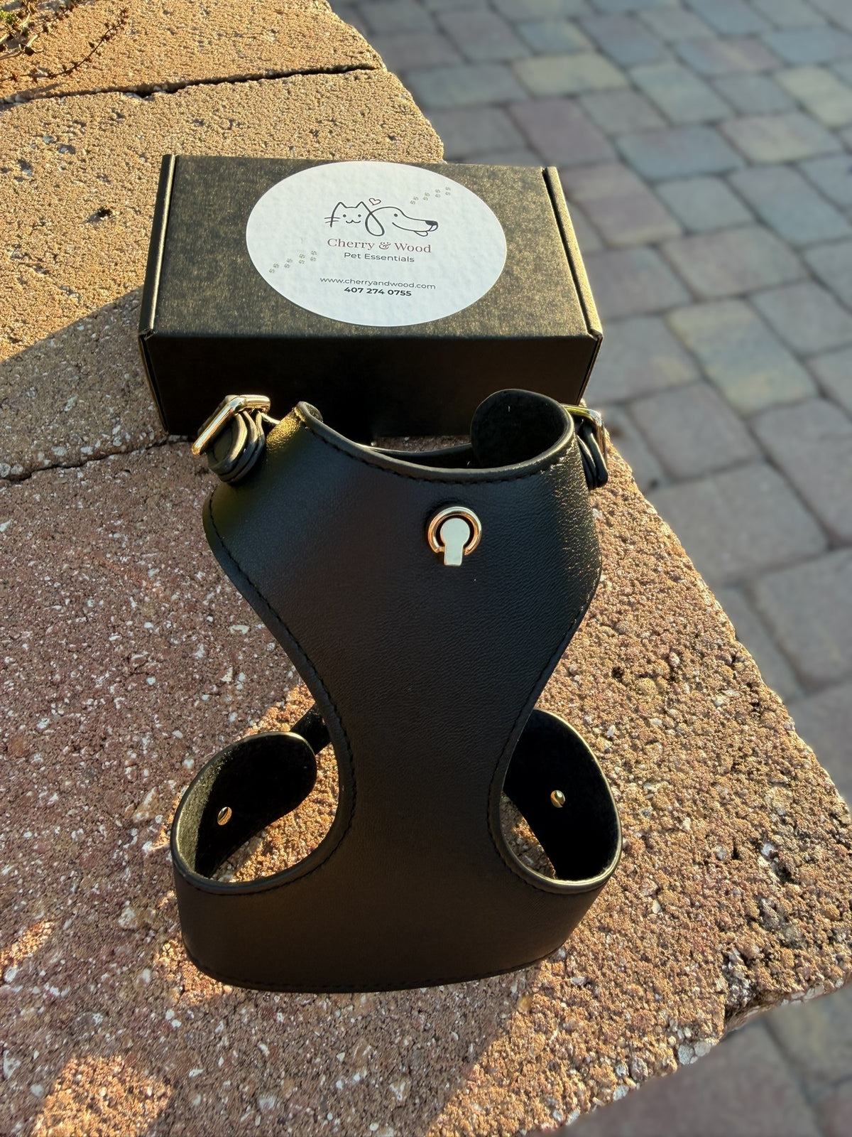 Black leather cat harness standing in front of the Cherry & Wood box