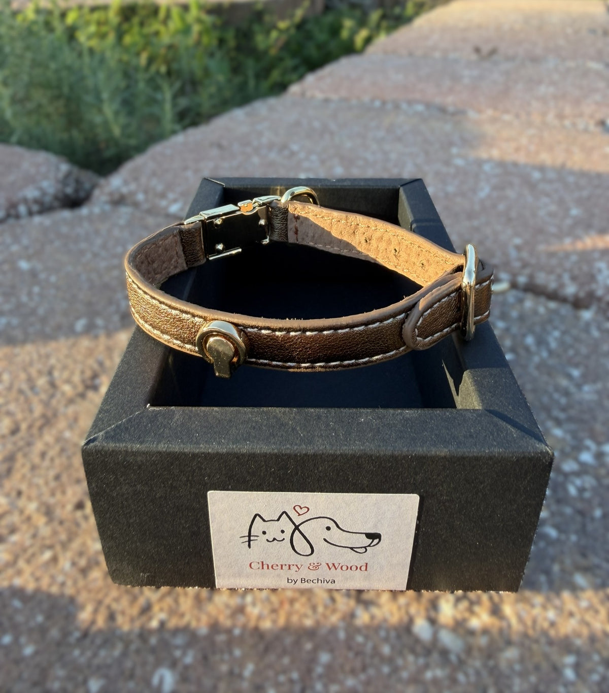 Bronze handmade leather cat collar in the Cherry & Wood gift box