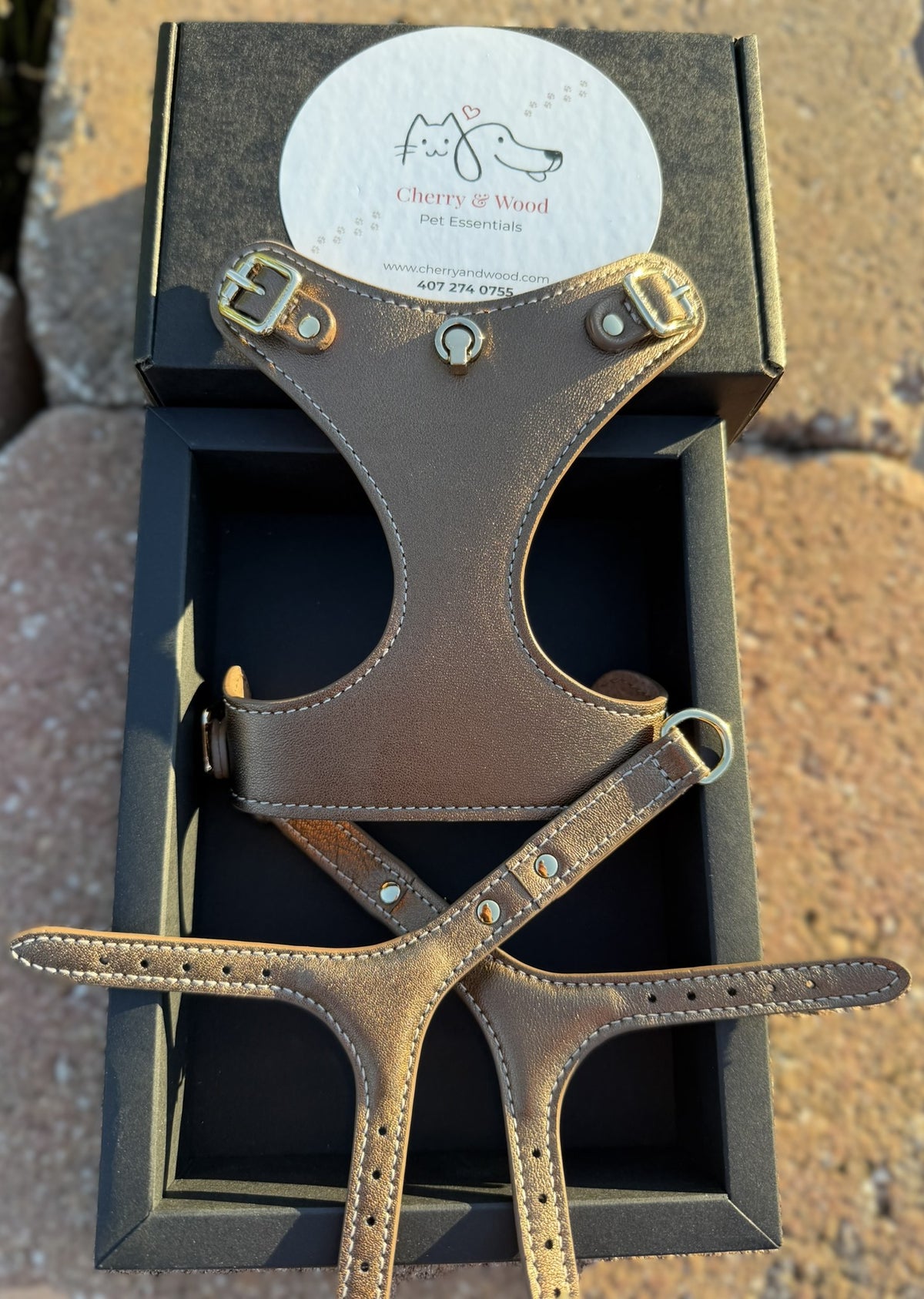 Bronze leather harness laid out with its clasp and fittings