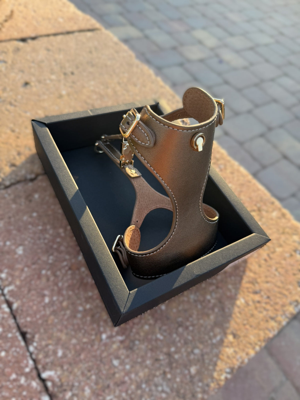 Bronze leather cat harness standing in its gift box
