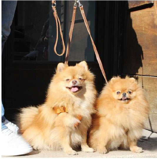 Duo leash