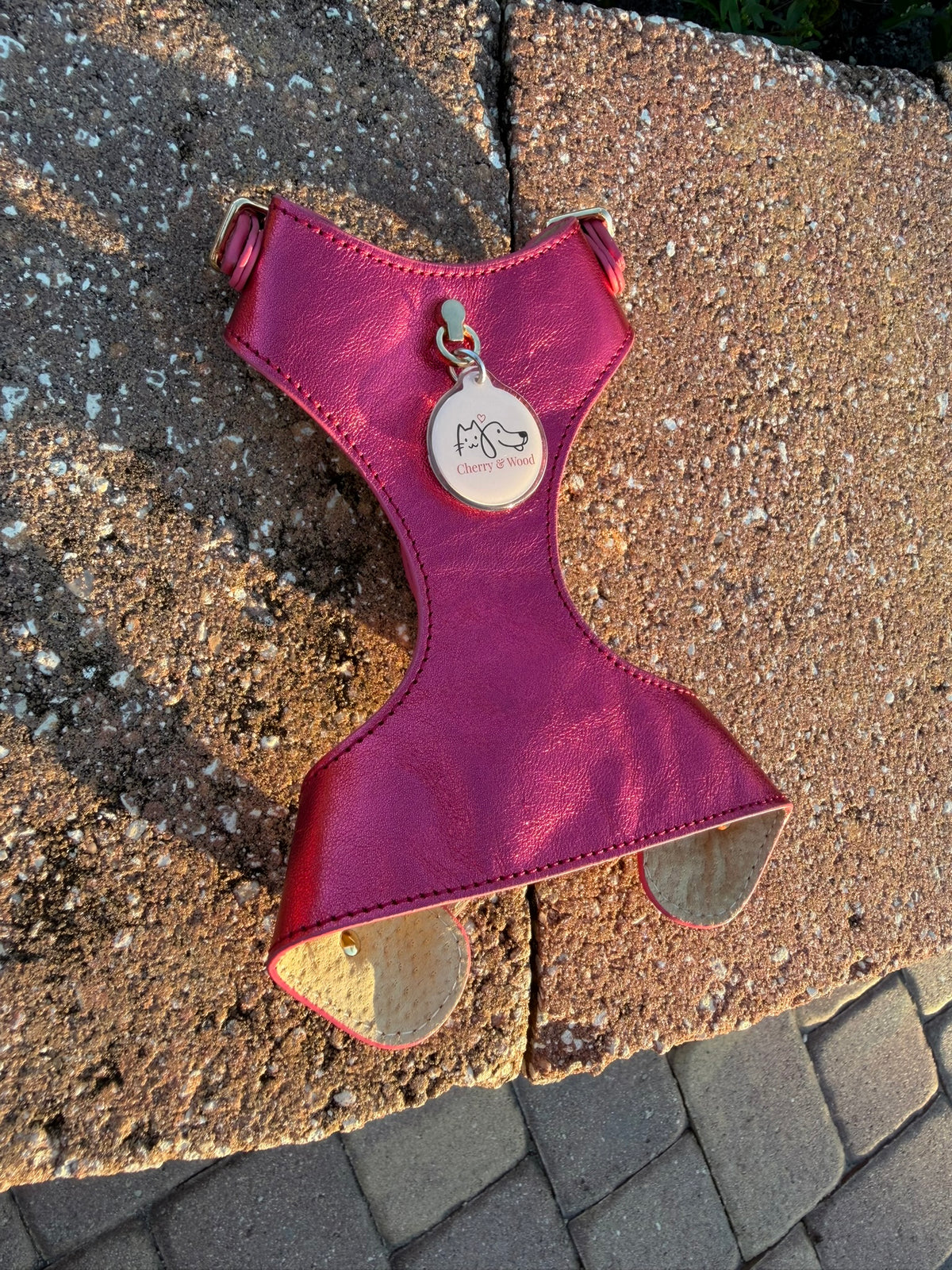 QR code pet ID tag on a red leather harness, top view