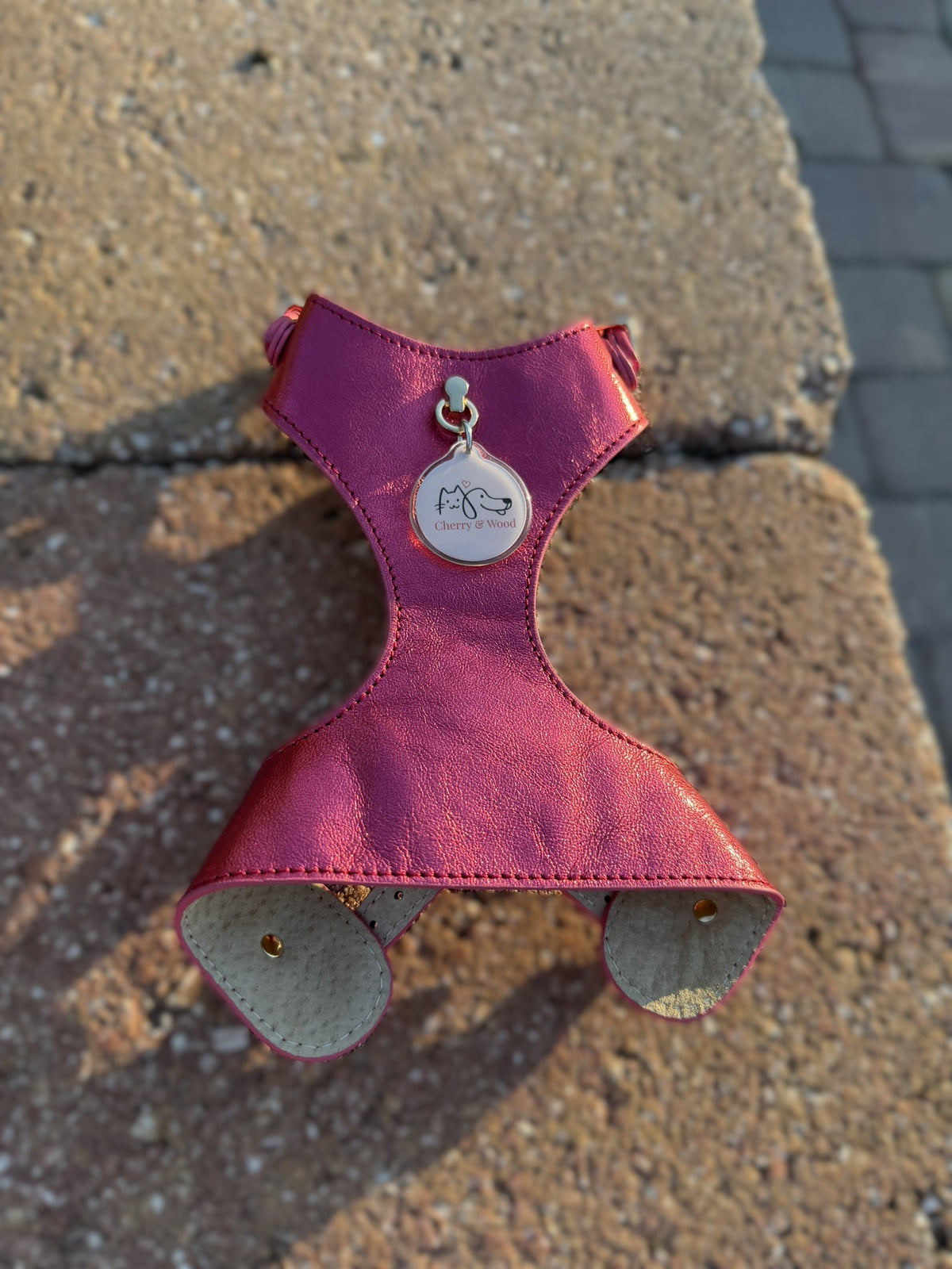 Red leather harness shown with the QR code pet tag