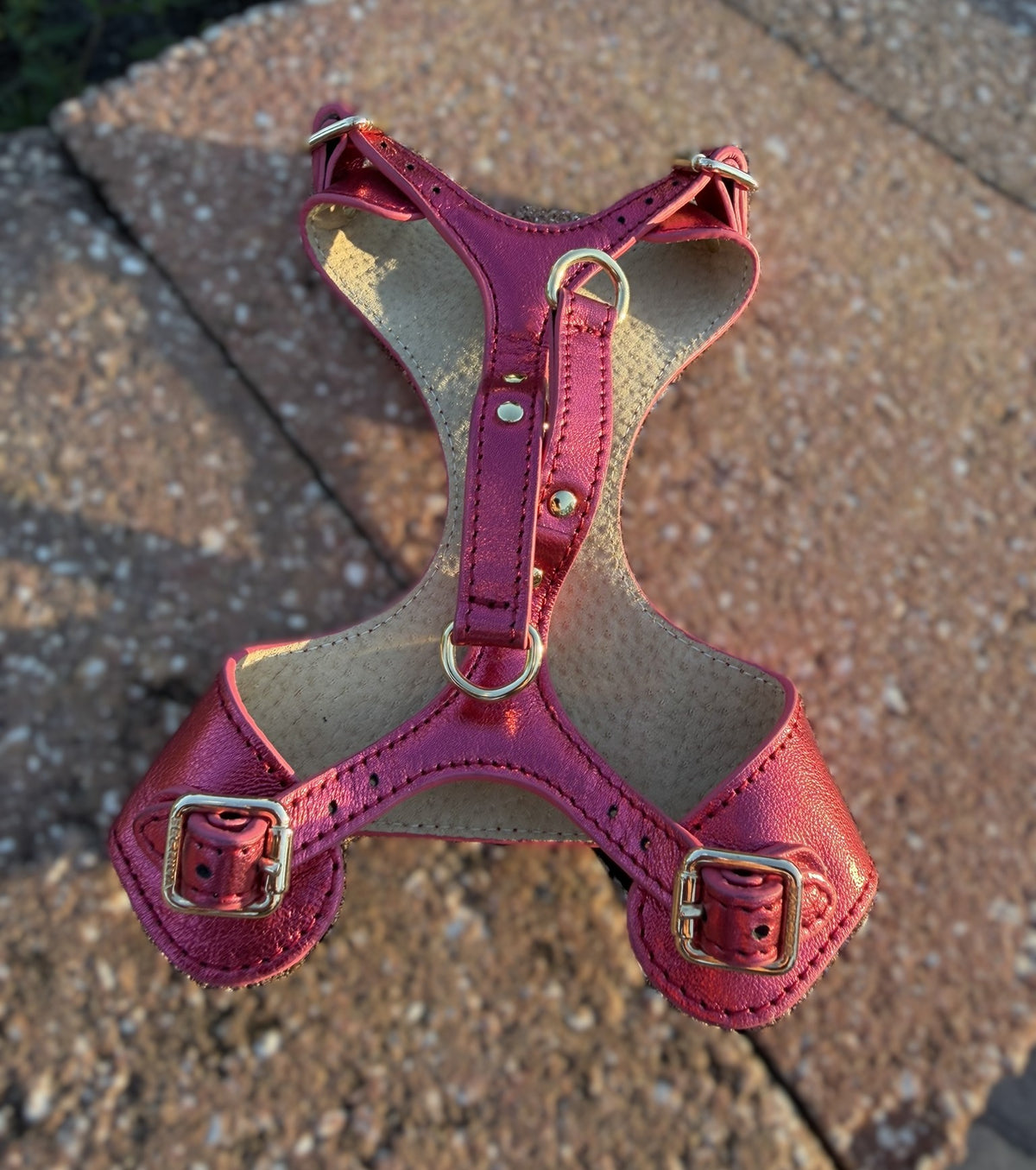 Cherry & Wood by Bechiva Leather Harness for Cats & Small Dogs