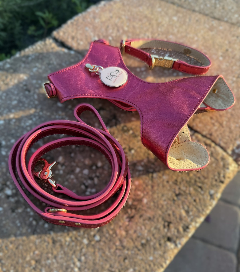 Cherry & Wood by Bechiva Leather Harness for Cats & Small Dogs